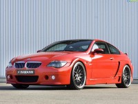  - BMW Hamann M6