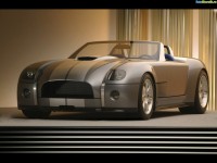  - Ford Shelby Cobra (concept car)